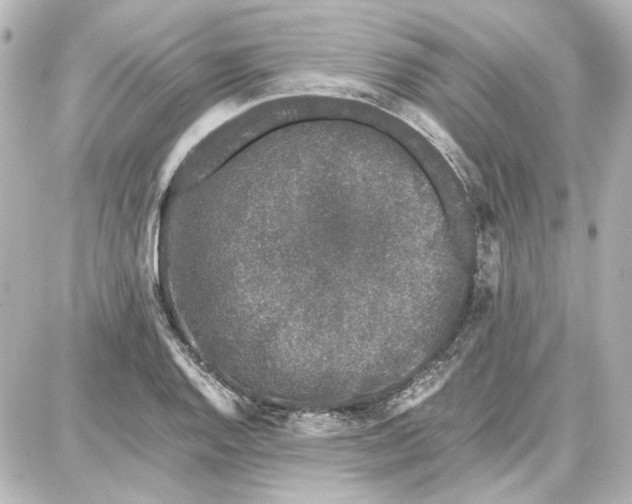 X0000087671128200705251612