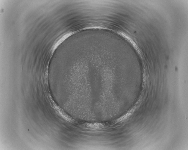 X0000087671129200705251612