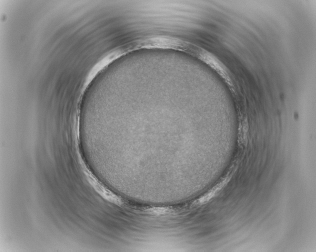 X0000087671130200705251612