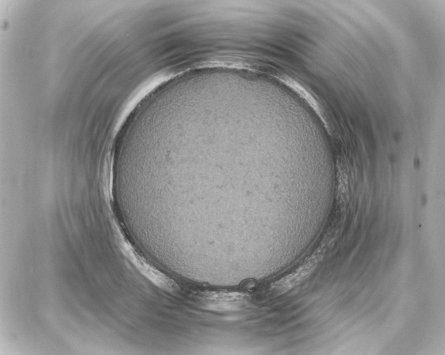 X0000087671131200705251612