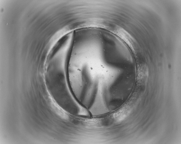 X0000087671132200705251612