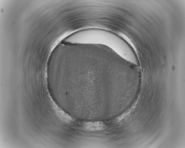 X0000087671133200705251612