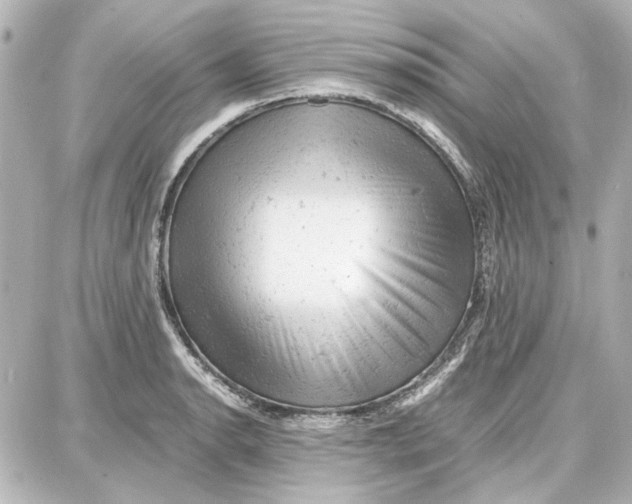 X0000087671134200705251612