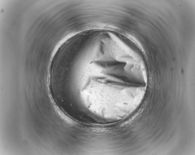 X0000087671136200705251612