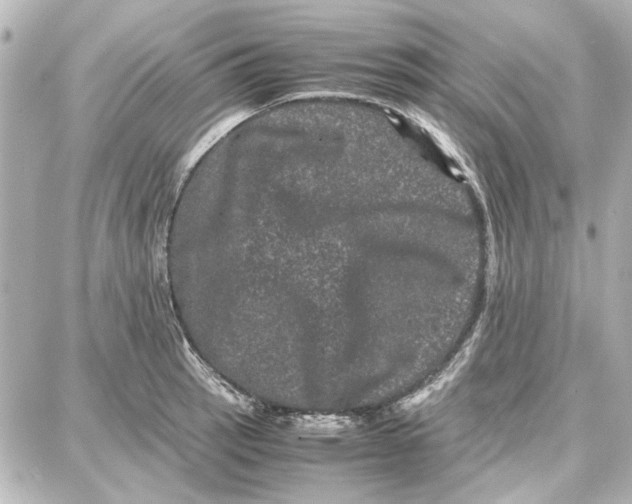 X0000087671137200705251612