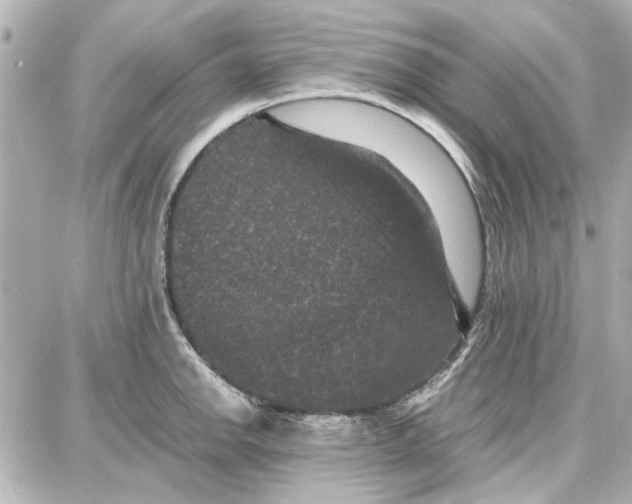 X0000087671142200705251612