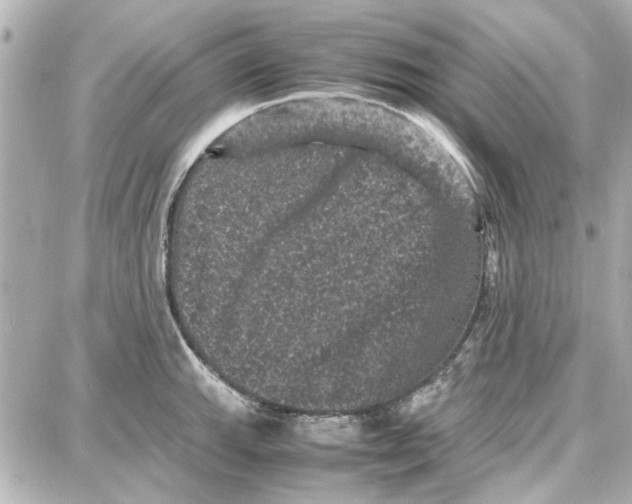 X0000087671143200705251612