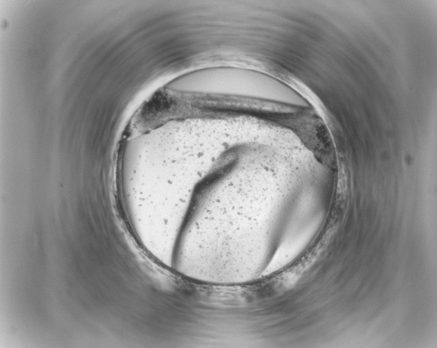 X0000087671144200705251612