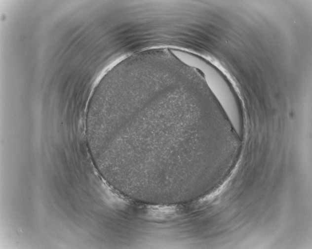 X0000087671145200705251612