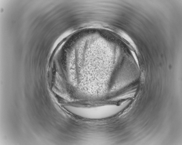 X0000087671146200705251612