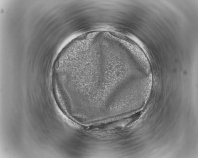 X0000087671147200705251612