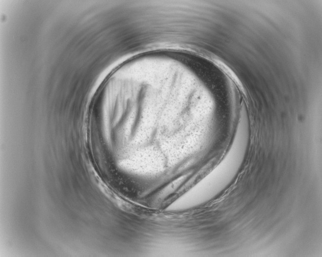 X0000087671148200705251612