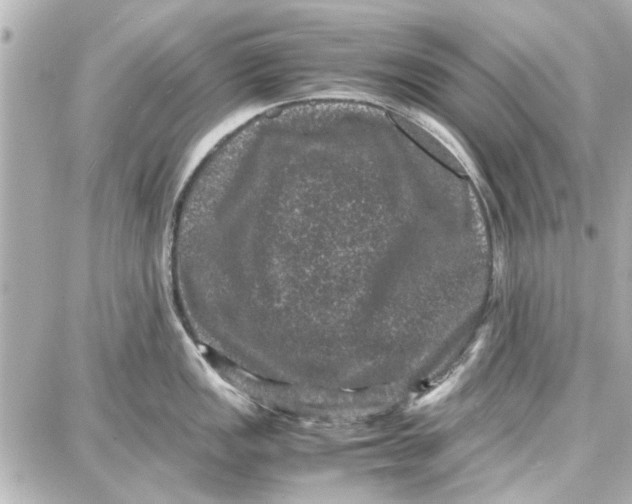 X0000087671149200705251612