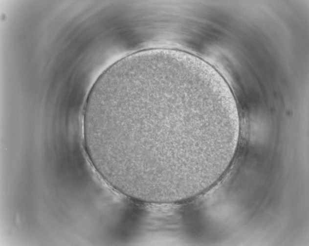 X0000087671150200705251612