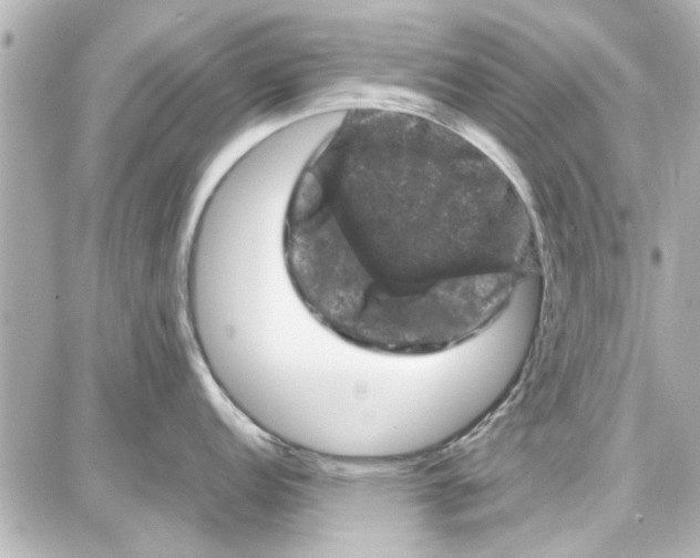 X0000087671152200705251612