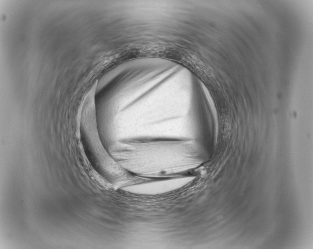 X0000087671153200705251612