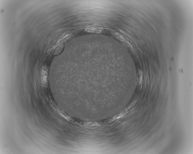 X0000087671154200705251612