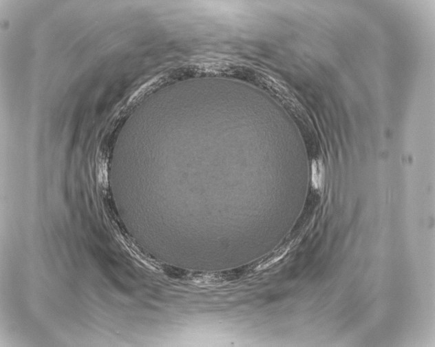 X0000087671155200705251612