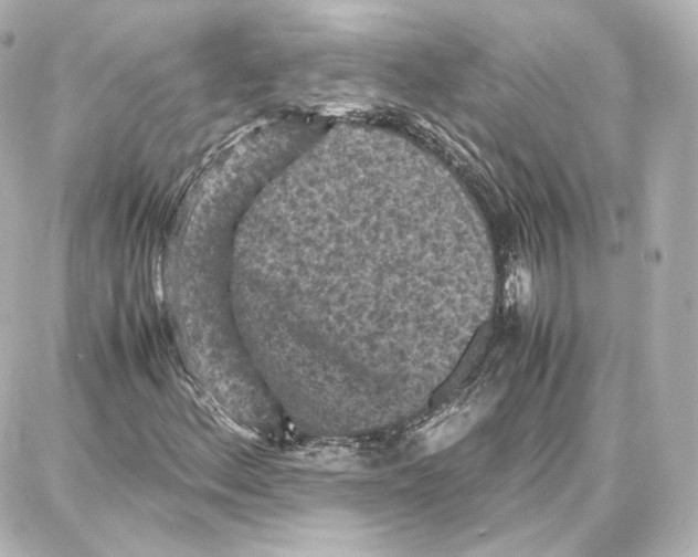 X0000087671156200705251612