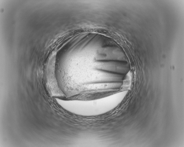 X0000087671157200705251612