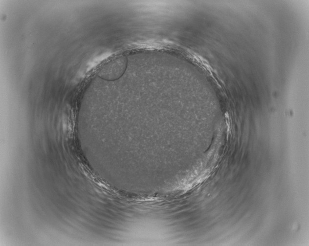 X0000087671158200705251611