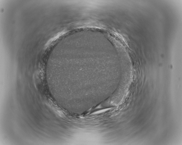 X0000087671159200705251611