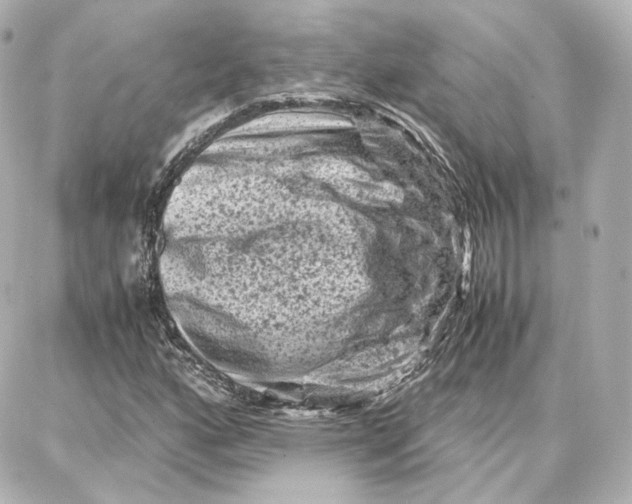 X0000087671160200705251611