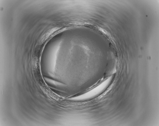 X0000087671161200705251611