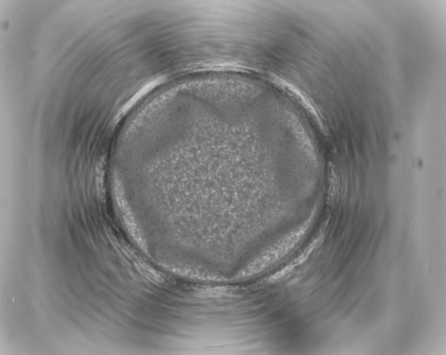 X0000087671162200705251611