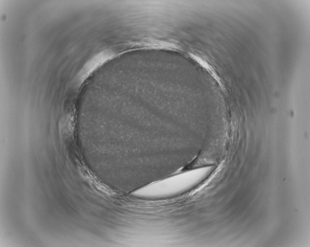 X0000087671163200705251611