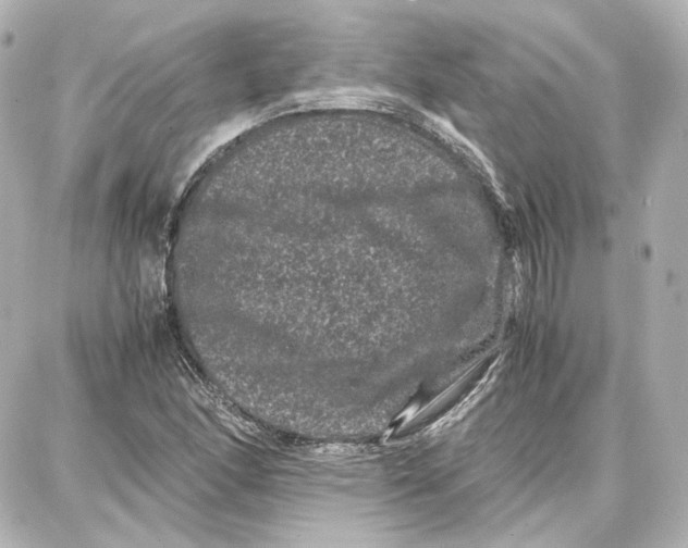 X0000087671166200705251611