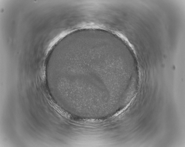 X0000087671167200705251611