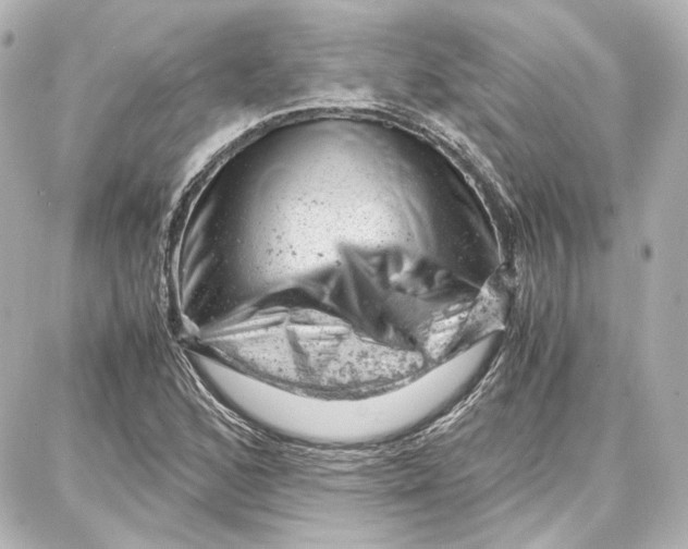 X0000087671168200705251611