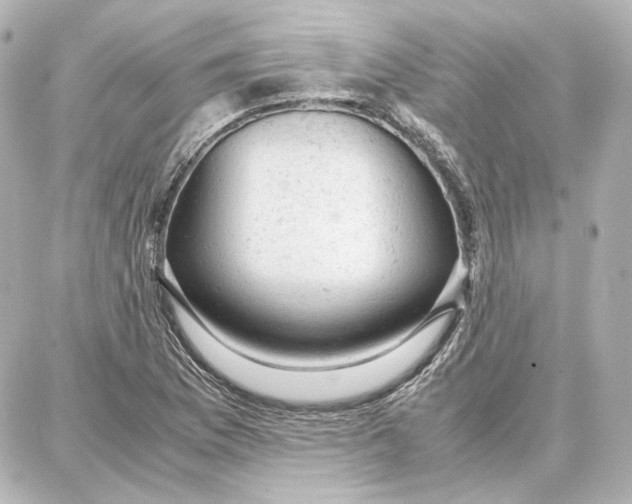 X0000087671169200705251611