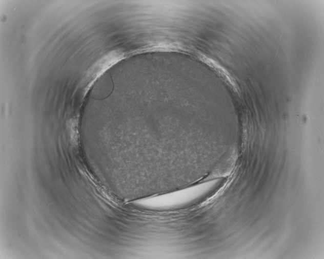 X0000087671170200705251611