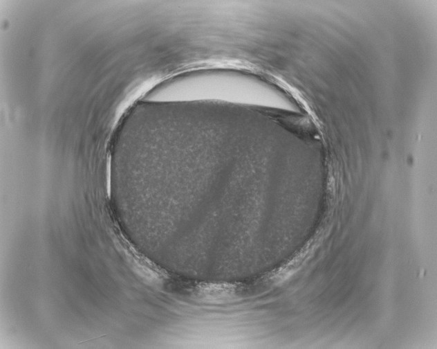 X0000087671171200705251611