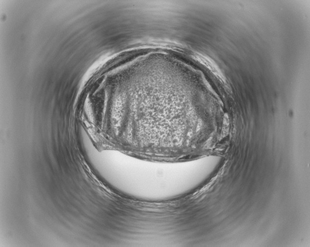 X0000087671172200705251611