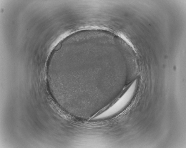 X0000087671173200705251611