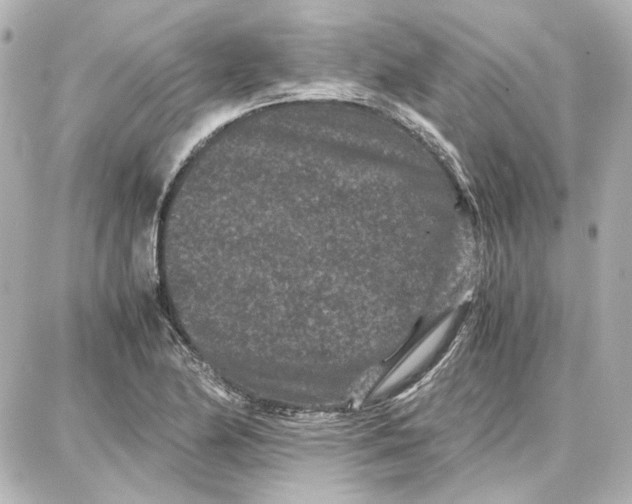 X0000087671174200705251611