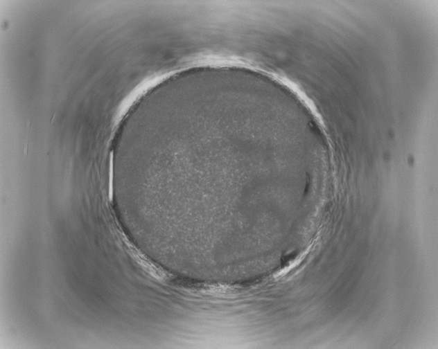 X0000087671175200705251611