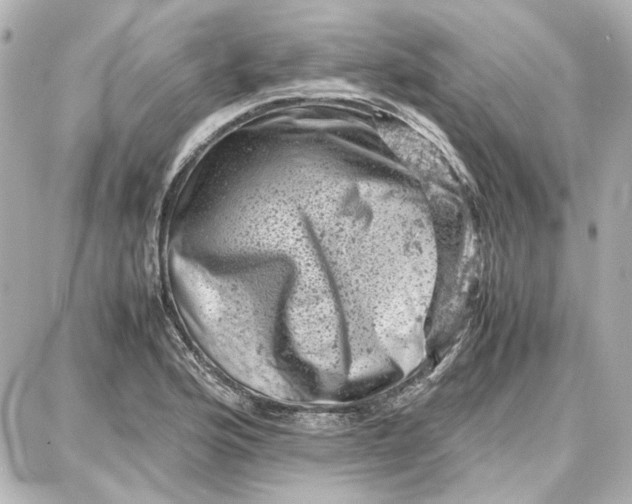 X0000087671176200705251611