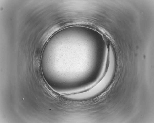 X0000087671177200705251611