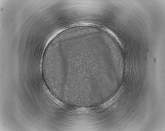 X0000087671178200705251611