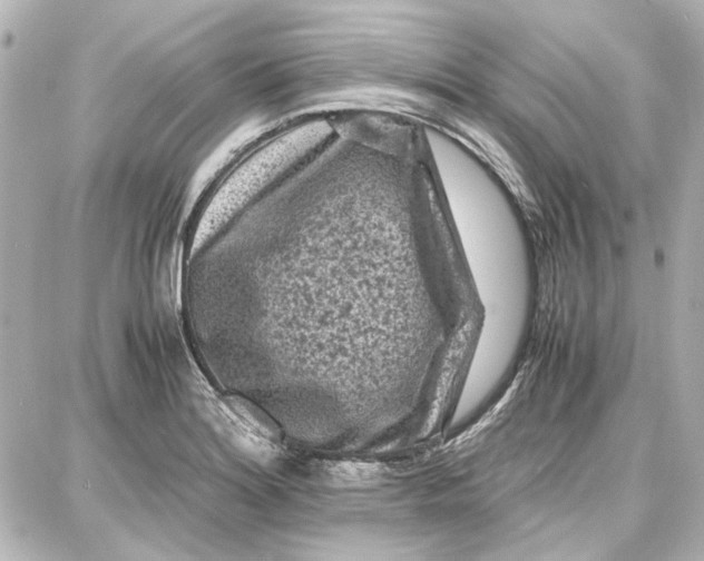 X0000087671180200705251611