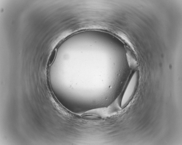 X0000087671181200705251611