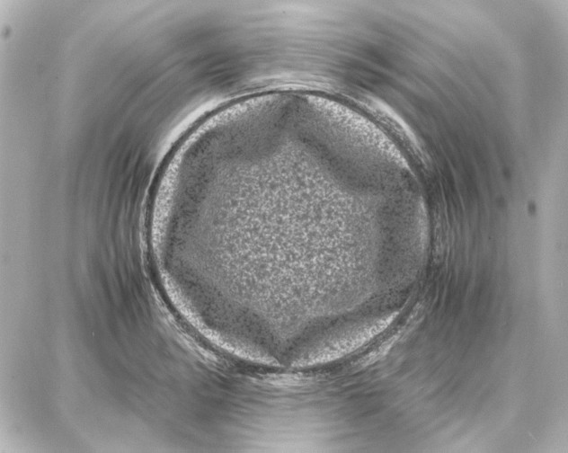 X0000087671182200705251611