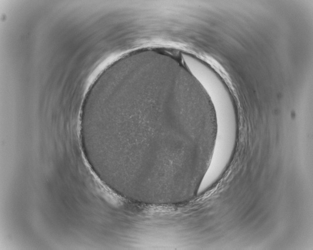 X0000087671183200705251611