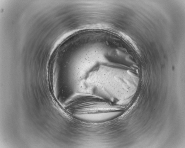 X0000087671184200705251611