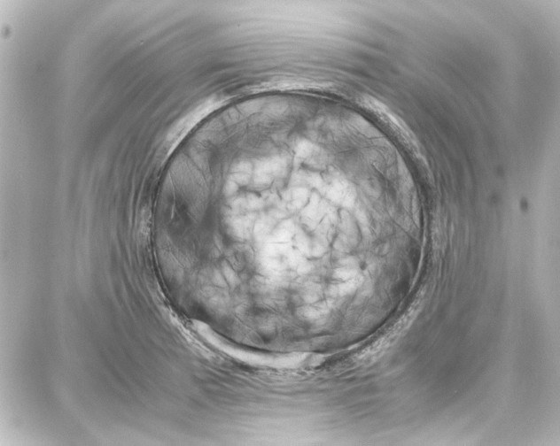 X0000087671185200705251611