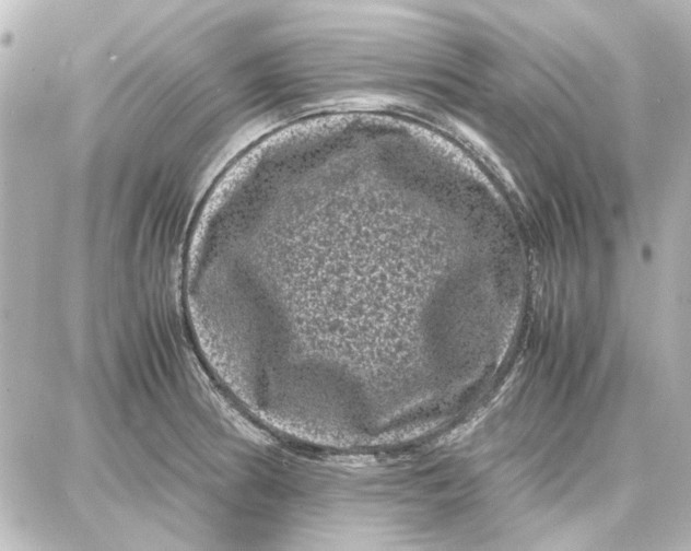 X0000087671186200705251611